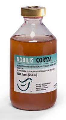 Nobilis® Coryza .